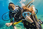 Un plongeur VIP découvre les fonds marins de Saint Tropez