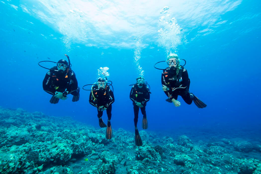 Plongée à Cavalaire-sur-Mer - Plongée sous-marine dans le Var