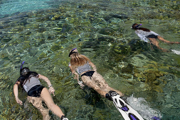 Snorkeling en groupe dans les eaux transparentes de Port-Cros