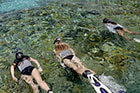 Snorkeling en groupe dans les eaux transparentes de Port-Cros