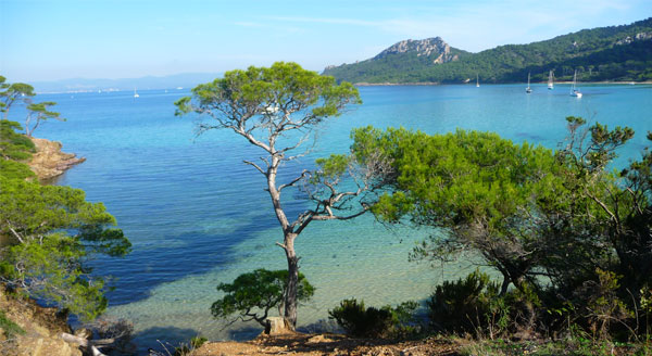 Plage sable fin port cros club de plongée