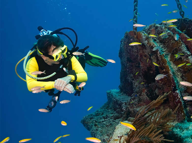 Centre de plongée 5***** CDC PADI