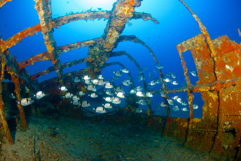 Plongée sous marine épave hyères