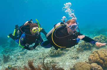 Un séjour complet pour suivre la formation Master Scuba Diver