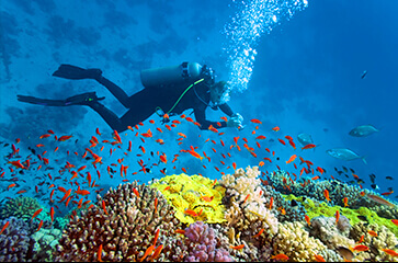 Un séjour complet pour passer sa formation Advanced Open Water Diver sur la côte d'azur