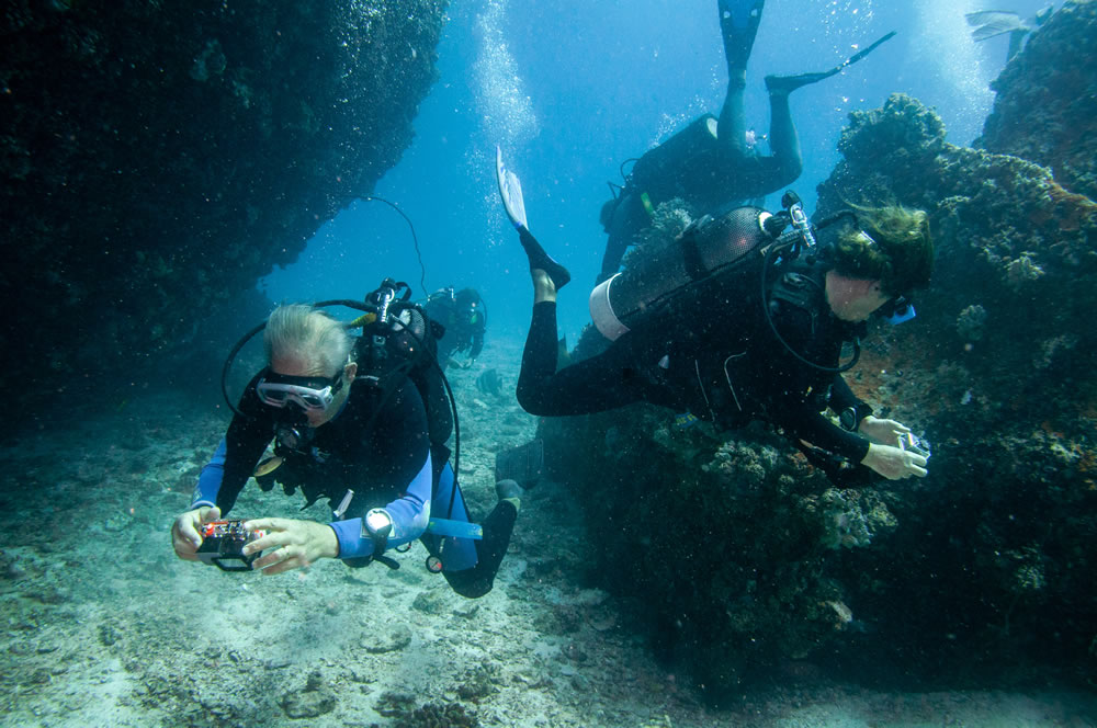 La Roche virtuelle au sud de la presqu’île de Giens