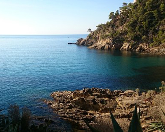 Site de plongée La calanque de la Cron, avec courant faible et site protégé du vent