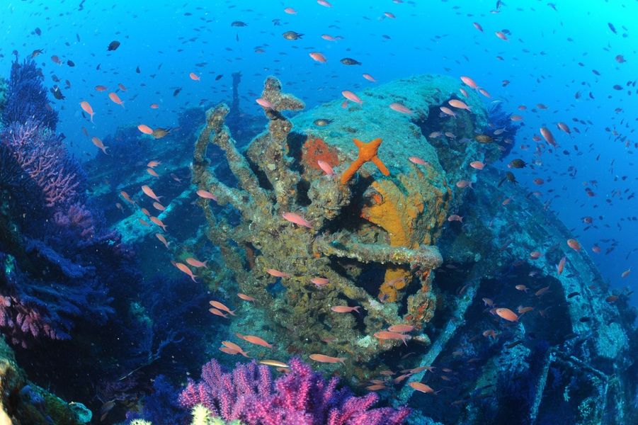 Plongée sous marine épave le donator à Porquerolles var paca