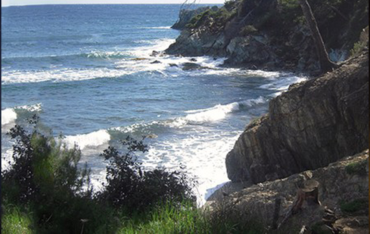 Site de plongée les écueils de Nidan