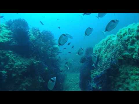 superbe plongée débutants padi à Porquerolles dans le var Hyères