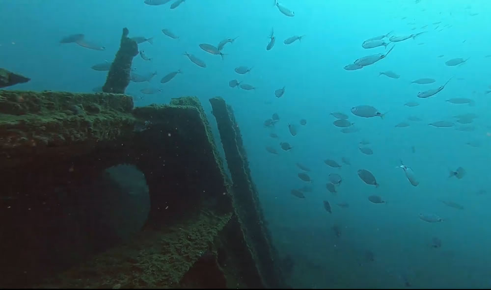 Le Ferrando à l'île de Porquerolles