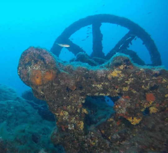 Plongée débutant Le Prophète  à Cavalaire-sur-Mer