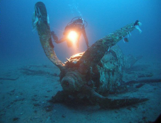 Le Mustang près de la presqu’île de Giens