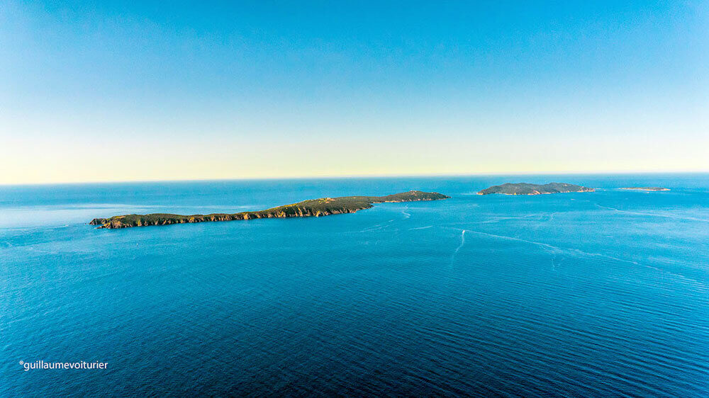 nord-est de l'île de Port-Cros