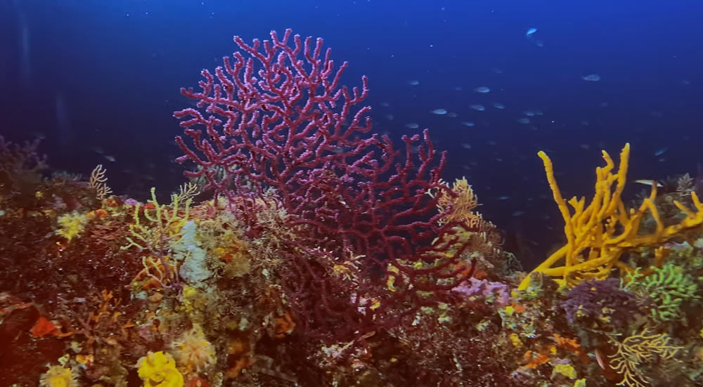 Visite du sèche du Sarranier