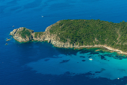 Plongée près de Giens