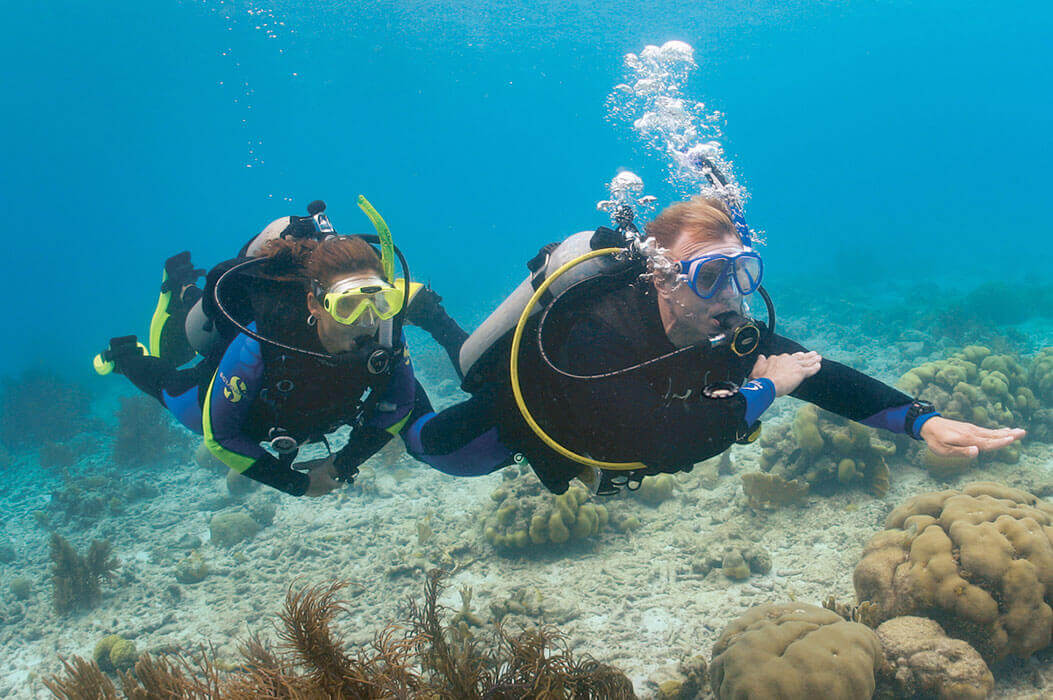 plongée à Cavalaire