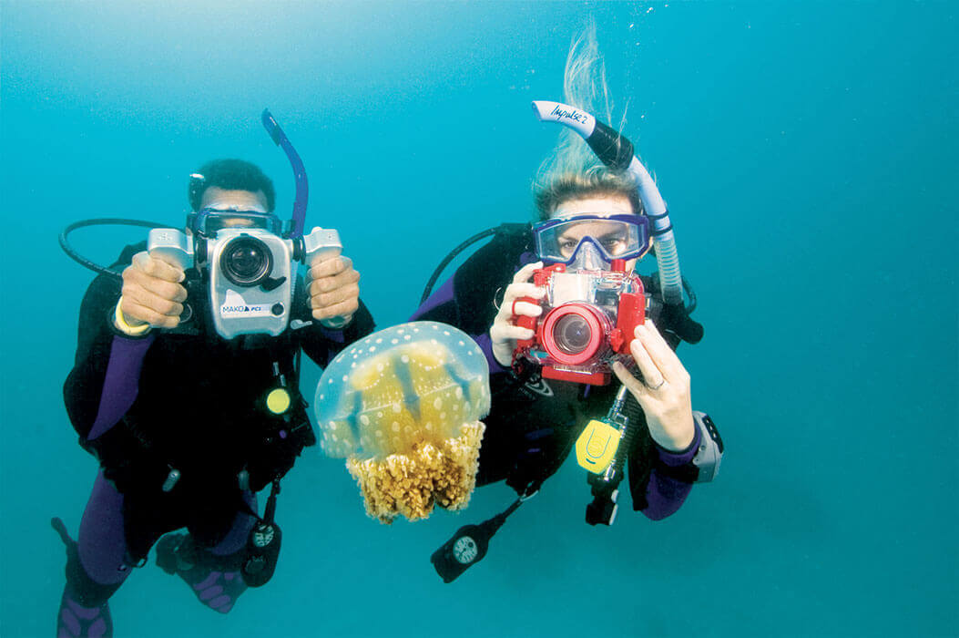 Le cours de spécialité Photo sous-marine en pratique sur les îles d'or à Hyères
