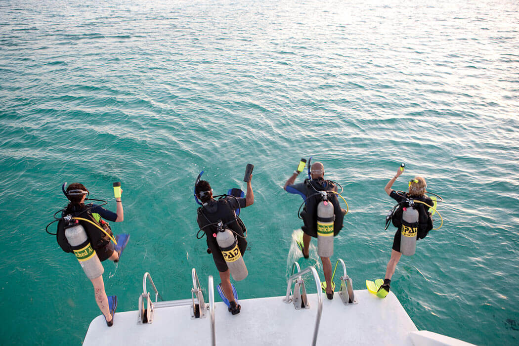 une session de formation se jette à l'eau dans la baie de Cavalaire