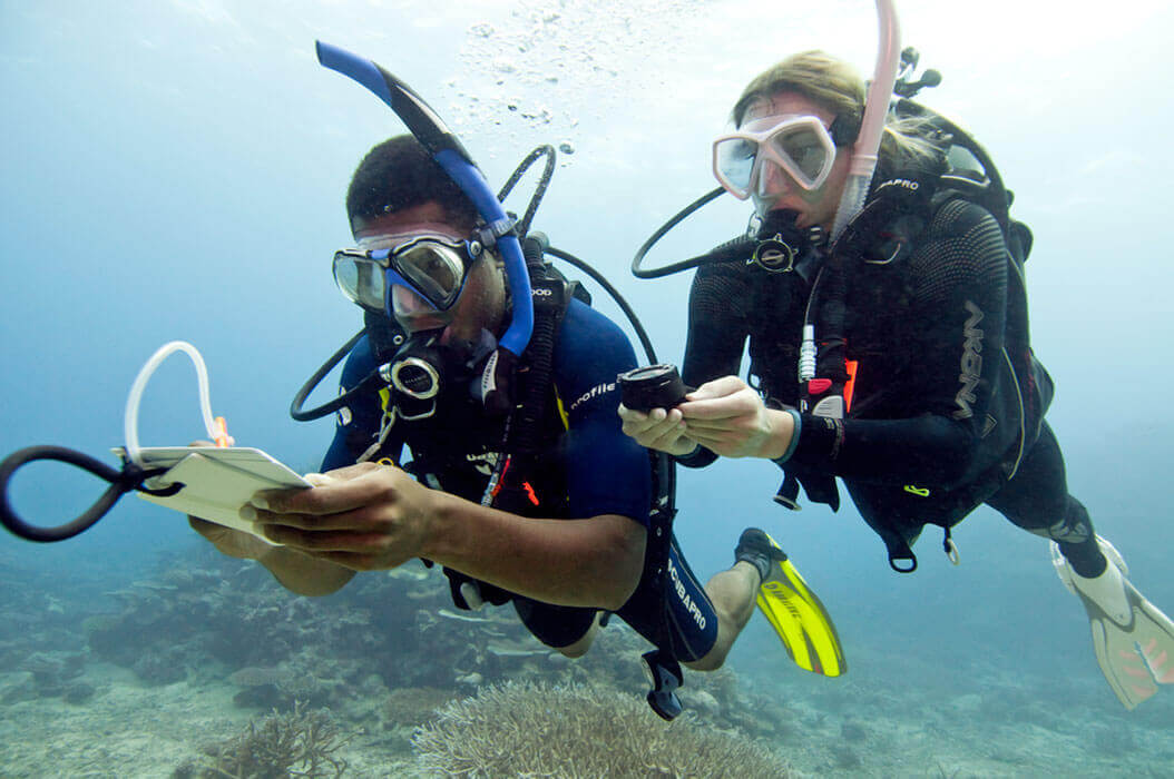 Où faire de la plongée sous-marine ?